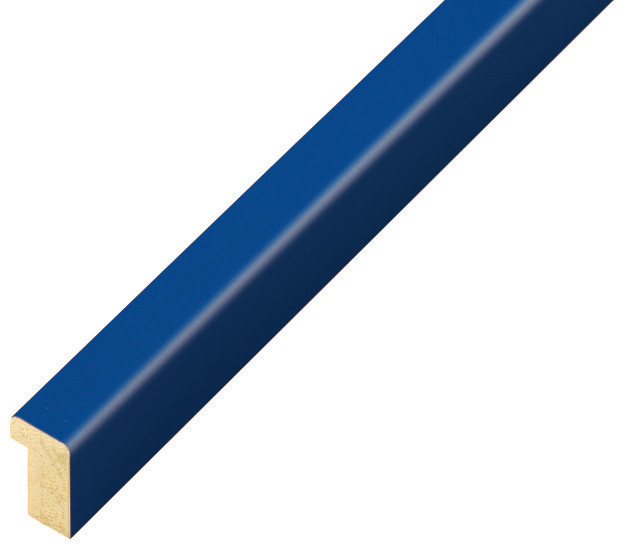 Profil ramin plat 10 mm - finisaj mat - culoare albastru