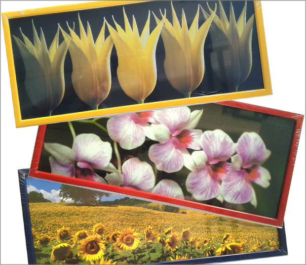 Serie de 10 rame cm 20x49 cu imagini cu flori