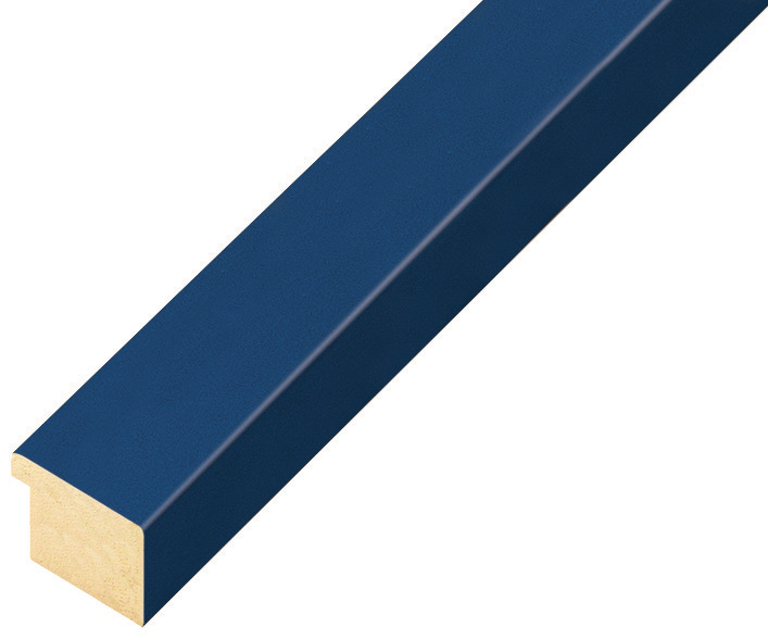 Profil ayous plat Lățime 20 mm Înălțime 14 - Albastru
