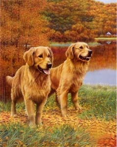 Pictura: Câini - cm 40x50