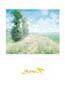 Poster: Monet: Paysage - cm 50x70