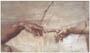 Poster: Michelangelo: Creazione-Dettaglio - cm 80x56