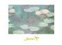 Poster: Monet: Ninfee - cm 30x24