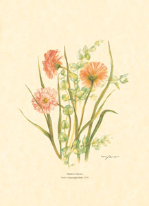 Print: Flori tăiate - cm 50x70