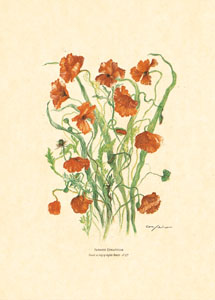 Print: Flori tăiate - cm 50x70