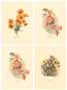 Serie de 4 printuri: Flori orientale - cm 25x35