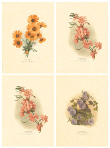 Serie de 4 printuri: Flori orientale - cm 18x24