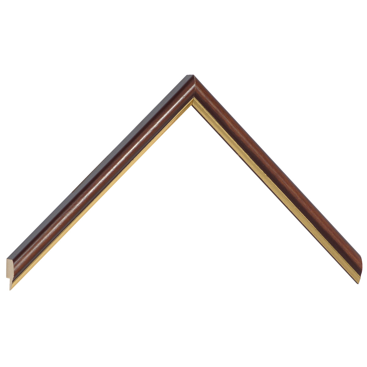 Profil pin îmbinat - Lățime 13mm Înălțime 15 - Maro cu fir auriu - Mostră