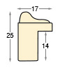 Profil pin îmbinat brut - Lățime 17mm - Înălțime 25 - Secțiune